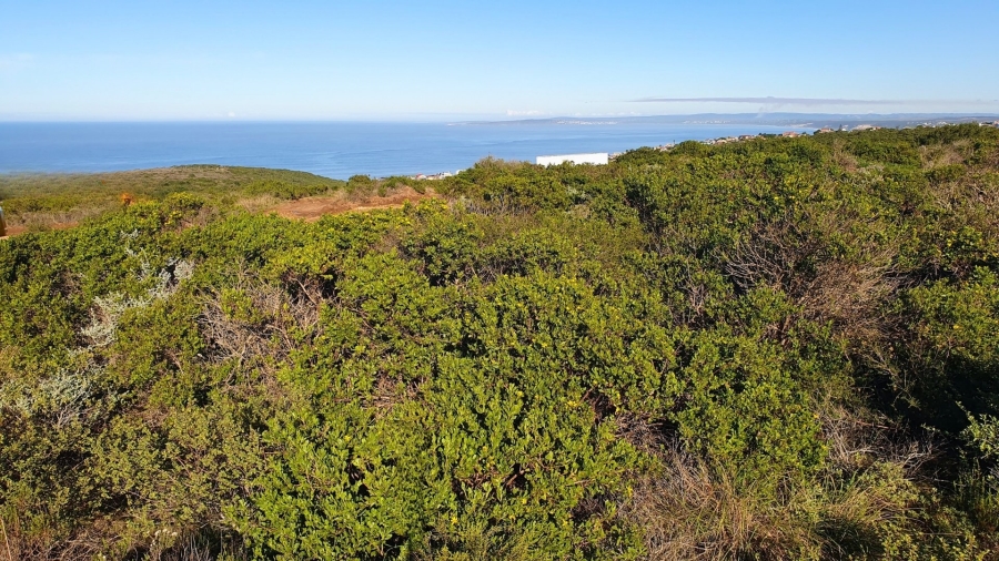 Commercial Property for Sale in Paradise Coast Western Cape